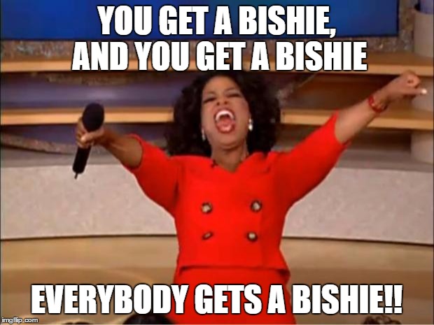 you get a bishie