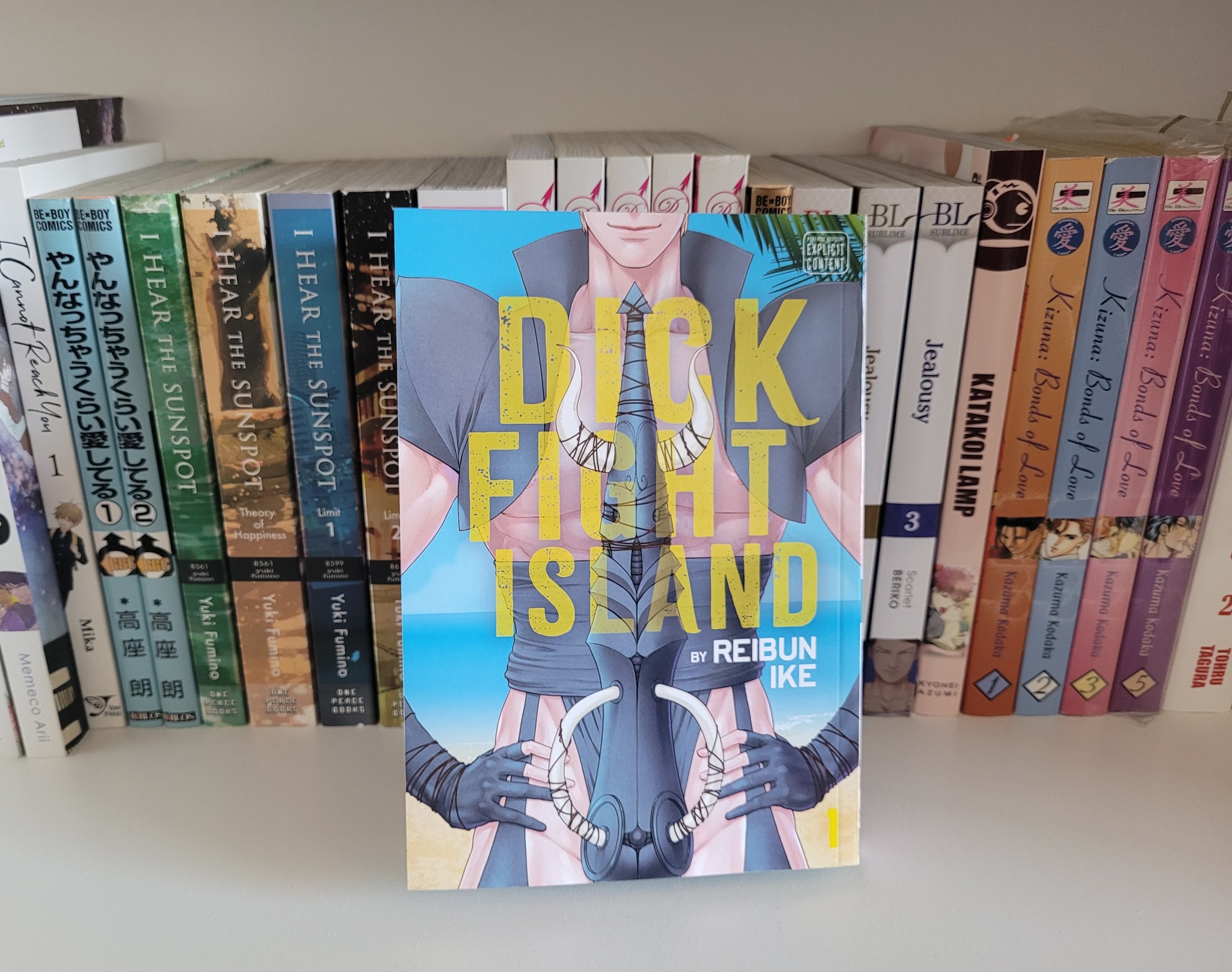 Dick Fight Island | Blerdy Otome